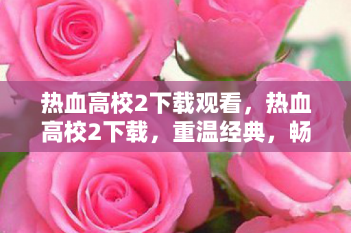 热血高校2下载观看，热血高校2下载，重温经典，畅享无限