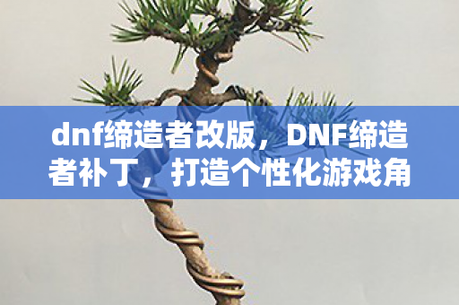 dnf缔造者改版，DNF缔造者补丁，打造个性化游戏角色