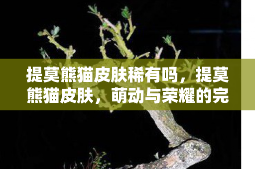 提莫熊猫皮肤稀有吗，提莫熊猫皮肤，萌动与荣耀的完美结合