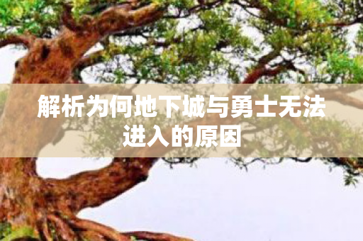 解析为何地下城与勇士无法进入的原因