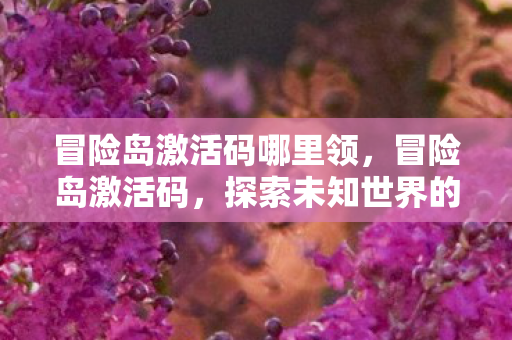 冒险岛激活码哪里领，冒险岛激活码，探索未知世界的钥匙