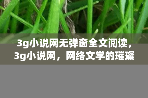 3g小说网无弹窗全文阅读，3g小说网，网络文学的璀璨星河