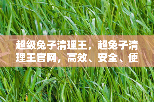 超级兔子清理王，超兔子清理王官网，高效、安全、便捷的电脑清理工具