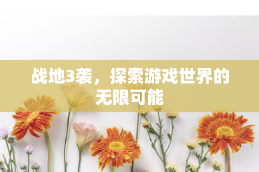 战地3袭，探索游戏世界的无限可能