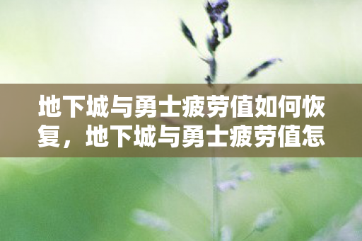 地下城与勇士疲劳值如何恢复，地下城与勇士疲劳值怎么恢复