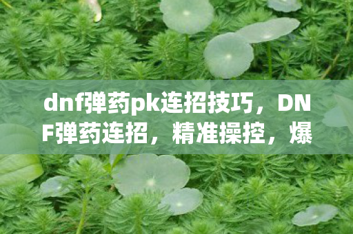 dnf弹药pk连招技巧，DNF弹药连招，精准操控，爆发伤害