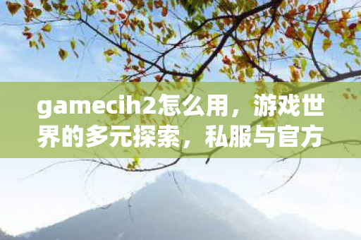 gamecih2怎么用，游戏世界的多元探索，私服与官方服务器的独特魅力