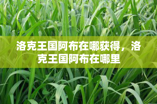 洛克王国阿布在哪获得，洛克王国阿布在哪里