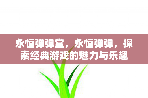 永恒弹弹堂，永恒弹弹，探索经典游戏的魅力与乐趣