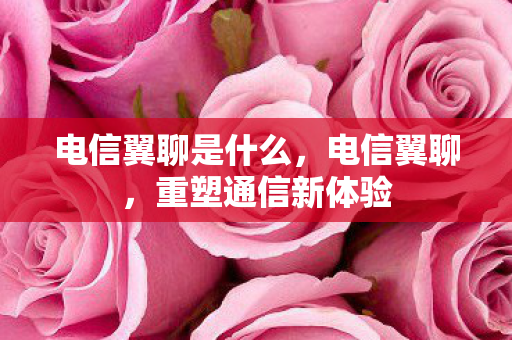 电信翼聊是什么，电信翼聊，重塑通信新体验