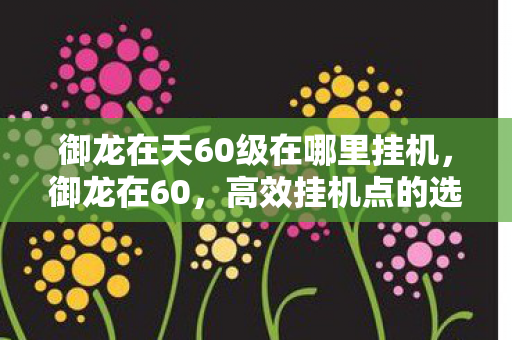 御龙在天60级在哪里挂机，御龙在60，高效挂机点的选择与实践