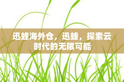 迅蜂海外仓，迅蜂，探索云时代的无限可能