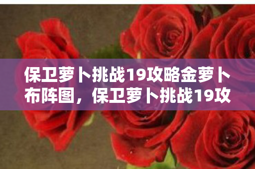 保卫萝卜挑战19攻略金萝卜布阵图，保卫萝卜挑战19攻略