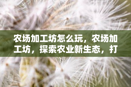 农场加工坊怎么玩，农场加工坊，探索农业新生态，打造乡村经济新引擎
