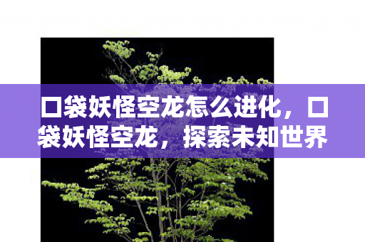 口袋妖怪空龙怎么进化，口袋妖怪空龙，探索未知世界的奇幻之旅