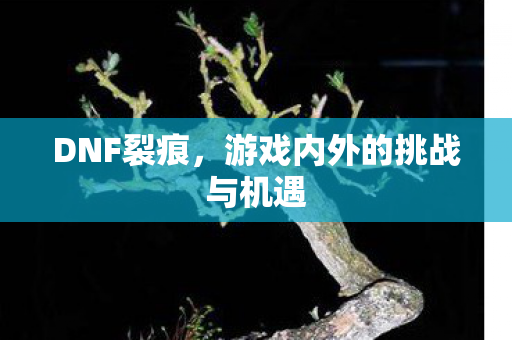 DNF裂痕，游戏内外的挑战与机遇