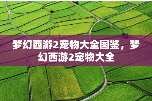 梦幻西游2宠物大全图鉴，梦幻西游2宠物大全