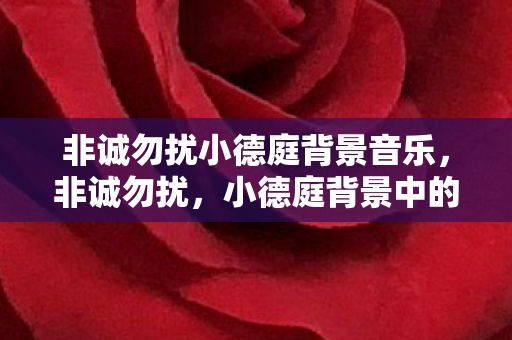 非诚勿扰小德庭背景音乐，非诚勿扰，小德庭背景中的生活哲学