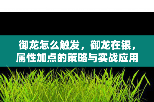 御龙怎么触发，御龙在银，属性加点的策略与实战应用