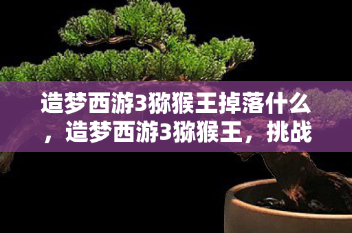 造梦西游3猕猴王掉落什么，造梦西游3猕猴王，挑战与成长并存的传奇之旅