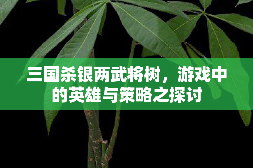 三国杀银两武将树,游戏中的英雄与策略之探讨 三国杀银两武将树,游戏中的英雄与策略之探讨