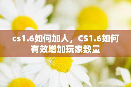 cs1.6如何加人，CS1.6如何有效增加玩家数量