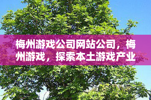梅州游戏公司网站公司，梅州游戏，探索本土游戏产业的独特魅力