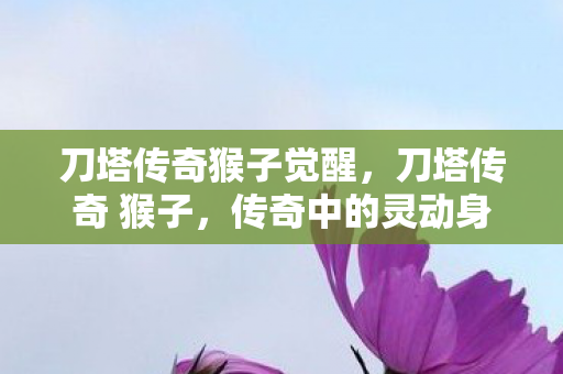 刀塔传奇猴子觉醒，刀塔传奇 猴子，传奇中的灵动身影