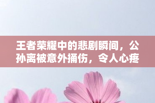 王者荣耀中的悲剧瞬间，公孙离被意外捅伤，令人心疼的瞬间