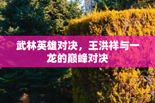 武林英雄对决，王洪祥与一龙的巅峰对决