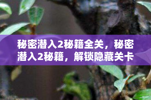 秘密潜入2秘籍全关，秘密潜入2秘籍，解锁隐藏关卡与角色