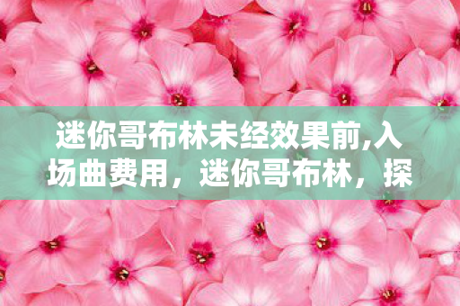 迷你哥布林未经效果前,入场曲费用，迷你哥布林，探索未知世界的奇妙冒险