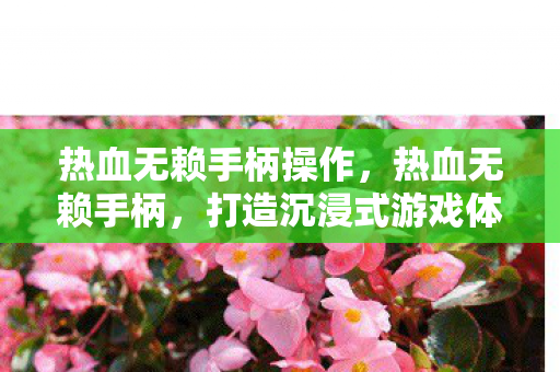 热血无赖手柄操作，热血无赖手柄，打造沉浸式游戏体验的必备神器