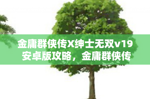 金庸群侠传X绅士无双v19 安卓版攻略，金庸群侠传x0.4，重温经典，探索武侠世界的无限可能