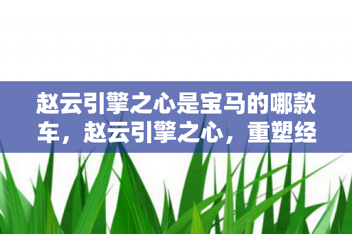 赵云引擎之心是宝马的哪款车，赵云引擎之心，重塑经典，引领游戏新风尚
