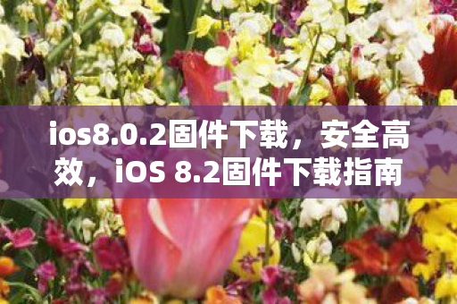 ios8.0.2固件下载，安全高效，iOS 8.2固件下载指南