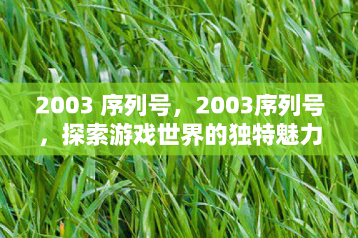 2003 序列号，2003序列号，探索游戏世界的独特魅力