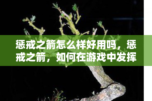 惩戒之箭怎么样好用吗，惩戒之箭，如何在游戏中发挥最大效用