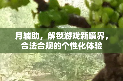 月辅助，解锁游戏新境界，合法合规的个性化体验