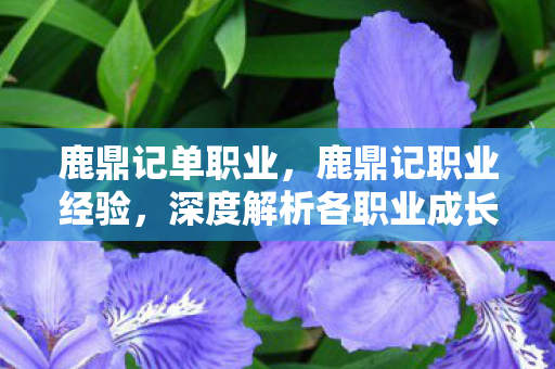 鹿鼎记单职业，鹿鼎记职业经验，深度解析各职业成长之路