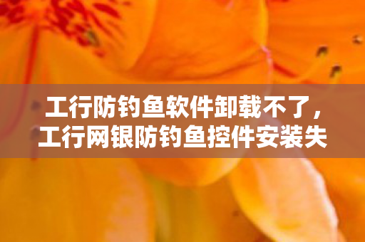 工行防钓鱼软件卸载不了，工行网银防钓鱼控件安装失败，原因分析与解决策略