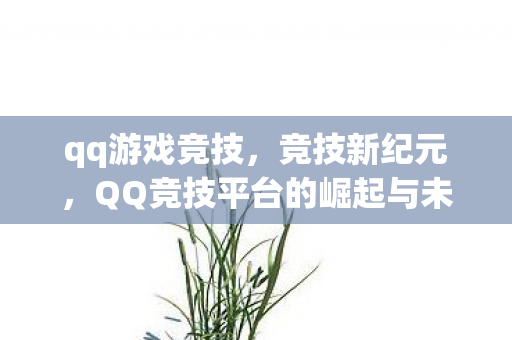 qq游戏竞技，竞技新纪元，QQ竞技平台的崛起与未来展望