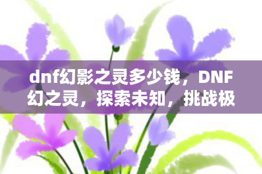 dnf幻影之灵多少钱，DNF幻之灵，探索未知，挑战极限的奇幻之旅