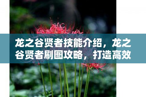 龙之谷贤者技能介绍，龙之谷贤者刷图攻略，打造高效刷图体验