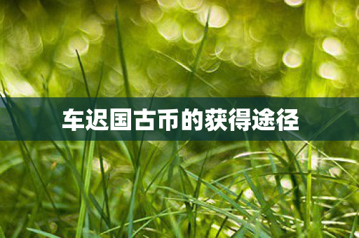 车迟国古币的获得途径