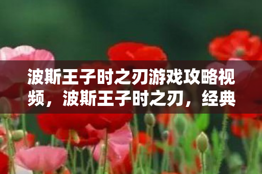 波斯王子时之刃游戏攻略视频，波斯王子时之刃，经典与创新的碰撞