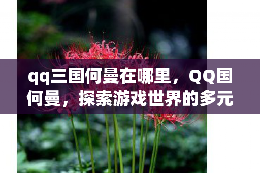 qq三国何曼在哪里，QQ国何曼，探索游戏世界的多元体验