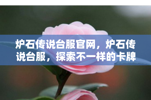 炉石传说台服官网，炉石传说台服，探索不一样的卡牌世界