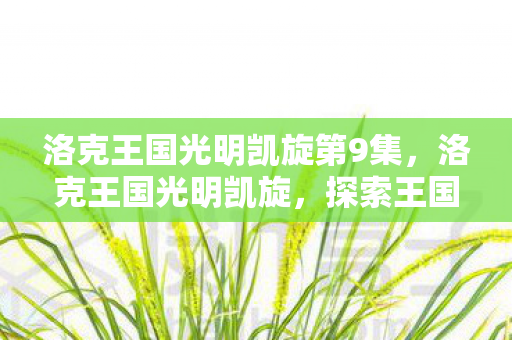 洛克王国光明凯旋第9集，洛克王国光明凯旋，探索王国的新篇章