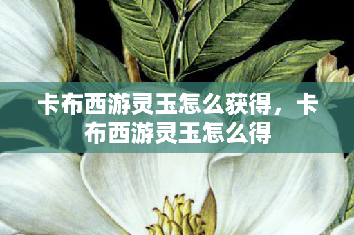 卡布西游灵玉怎么获得，卡布西游灵玉怎么得
